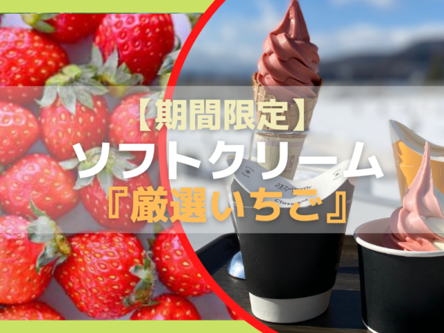 【長野】絶景カフェ『厳選いちご』ソフトクリーム期間限定発売中の写真